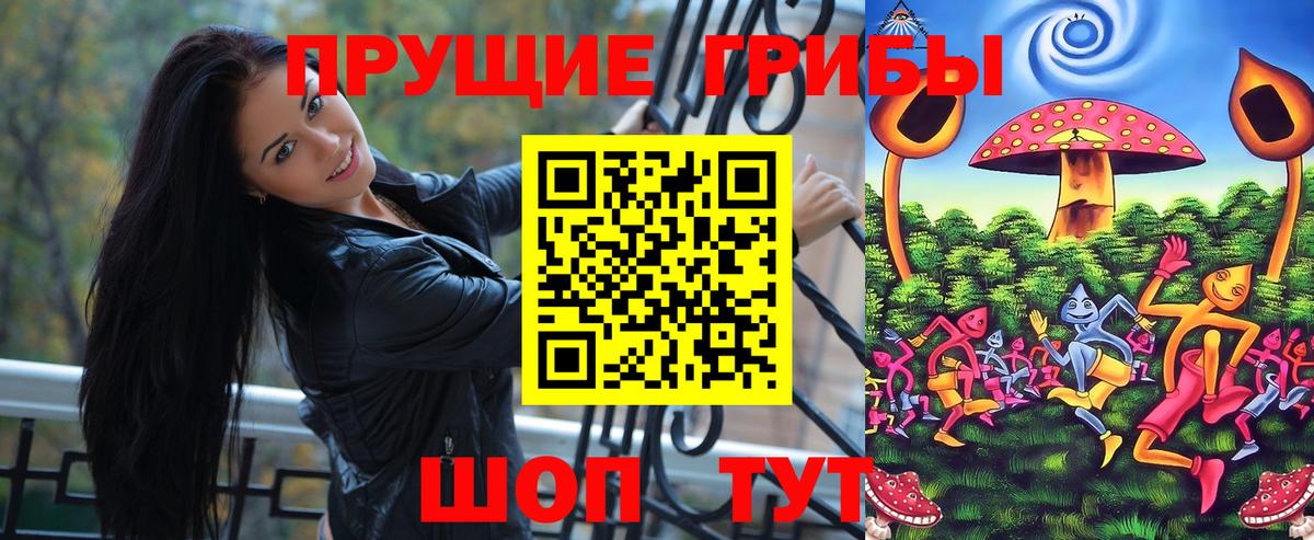 Псилоцибиновые грибы Psilocybe Ирбит